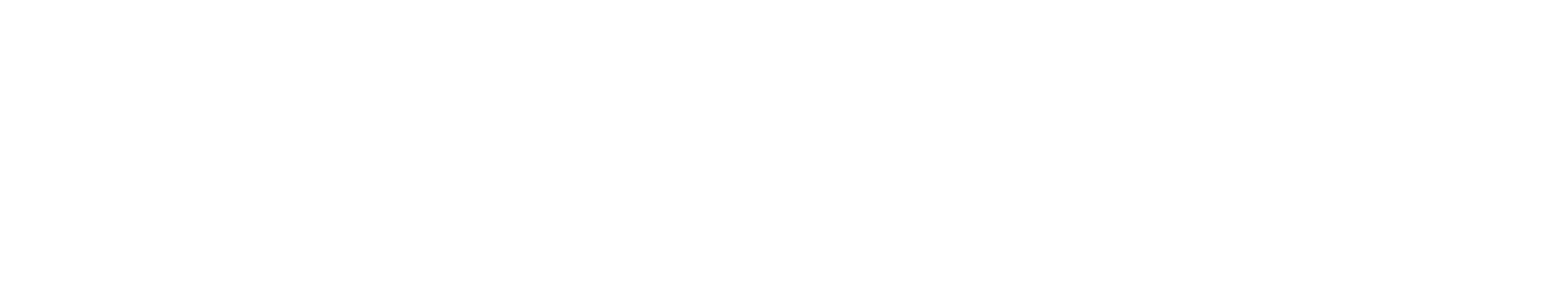 Car Broker